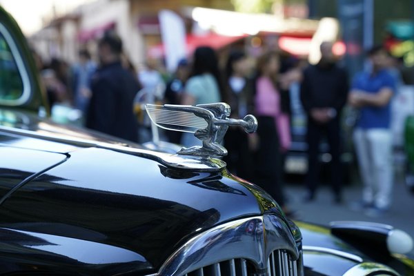 Maximize Your Ducati 848 EVO"s Performance: The Ultimate Guide to Upgrading Your Brake System